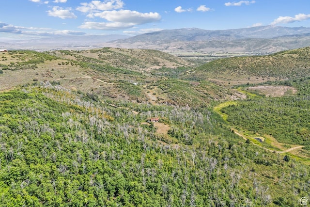 0, Woodland, UT 84036 - photo 49