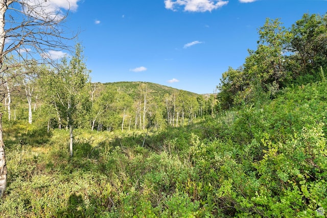 0, Woodland, UT 84036 - photo 20