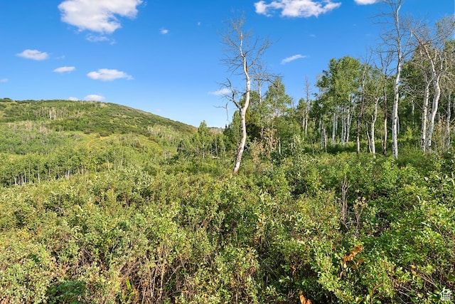 0, Woodland, UT 84036 - photo 29