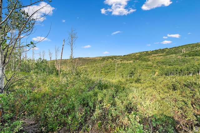 0, Woodland, UT 84036 - photo 28
