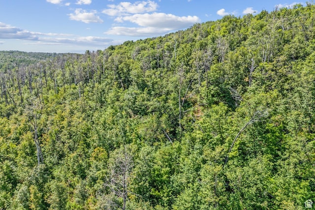 0, Woodland, UT 84036 - photo 43