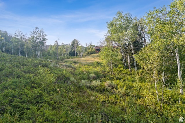 0, Woodland, UT 84036 - photo 4