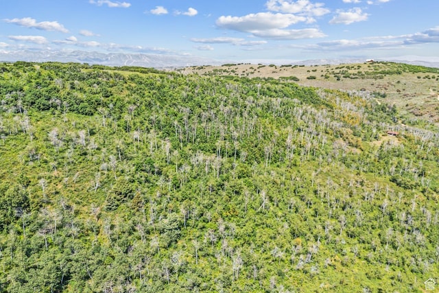 0, Woodland, UT 84036 - photo 55