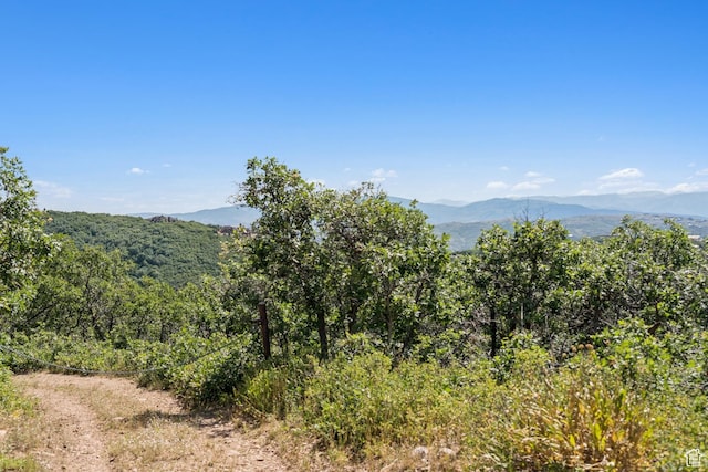 1237 Lower Cove Rd, Park City, UT 84098 - photo 44