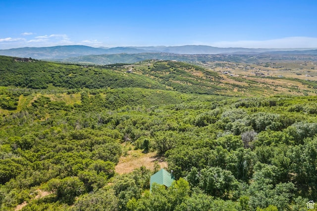 1237 Lower Cove Rd, Park City, UT 84098 - photo 10