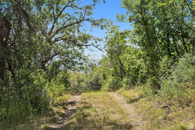 1237 Lower Cove Rd, Park City, UT 84098 - photo 42