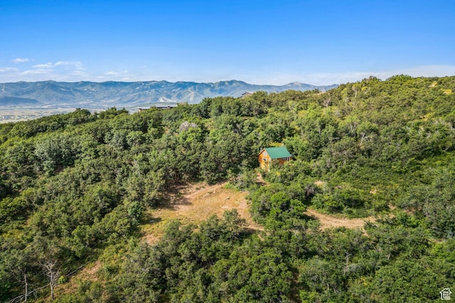 1237 Lower Cove Rd, Park City, UT 84098 - photo 8