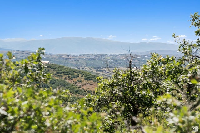 1237 Lower Cove Rd, Park City, UT 84098 - photo 43