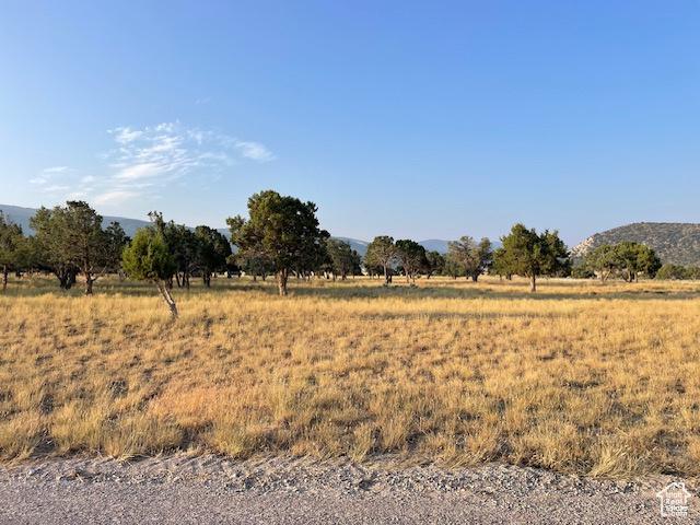 6040 E 10590 N, Spring City, UT 84662 - photo 8