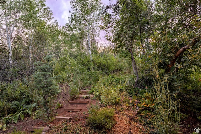 4320 Hidden Cove Rd, Park City, UT 84098 - photo 41