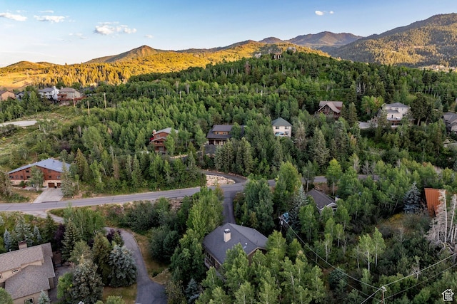 4320 Hidden Cove Rd, Park City, UT 84098 - photo 44
