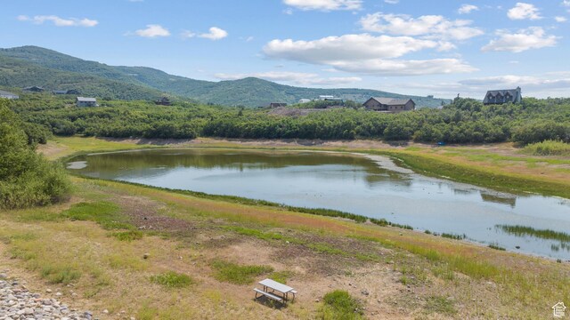 1445 S Cedar Bark Ln, Heber City, UT 84032 - photo 20