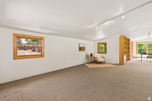 1130 E Main St, Rockville, UT 84763 - photo 38