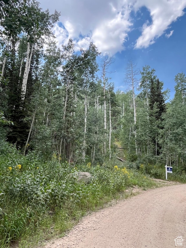 2102 S Uintah View Dr Unit 61, Coalville, UT 84017 - photo 4