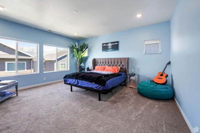 4696 W Camellia Ln N, Cedar Hills, UT 84062 - photo 17