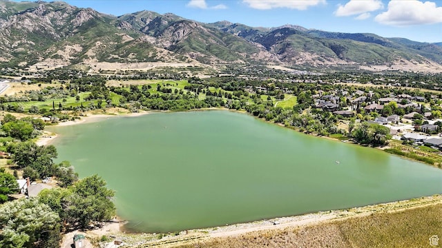 910 N 1550 E, Layton, UT 84040 - photo 38