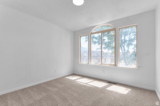 1354 Sageberry W, Santaquin, UT 84655 - photo 17