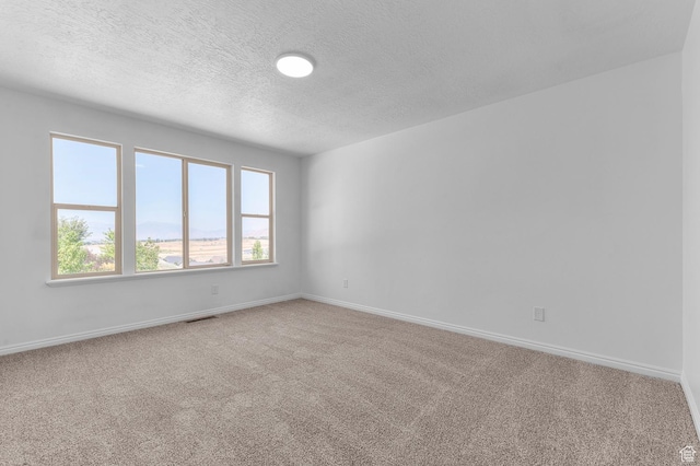 1354 Sageberry W, Santaquin, UT 84655 - photo 19