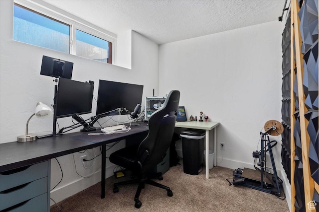 4780 W Sarbo St S, Kearns, UT 84118 - photo 19