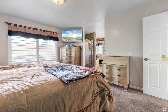 3732 N Campbell Rd, Erda, UT 84074 - photo 25