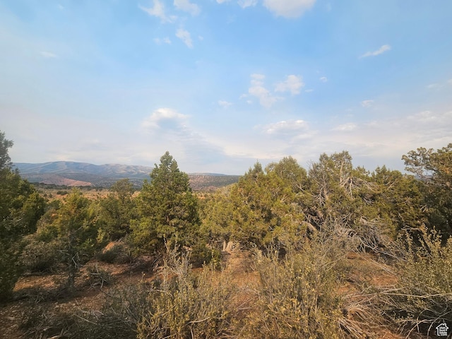 Unit 8, Duchesne, UT 84021 - photo 26