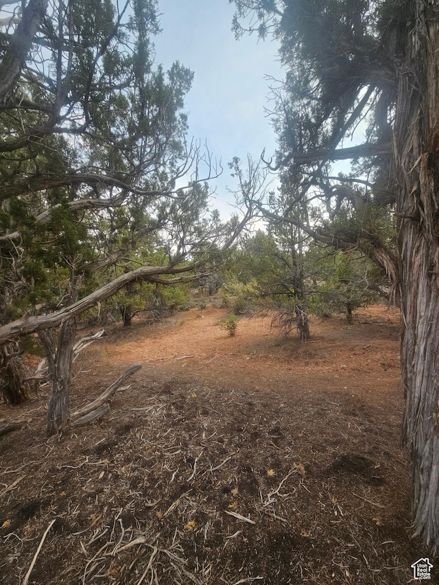 Unit 8, Duchesne, UT 84021 - photo 22