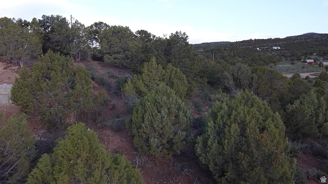 Unit 8, Duchesne, UT 84021 - photo 38
