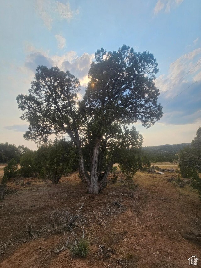 Unit 8, Duchesne, UT 84021 - photo 18