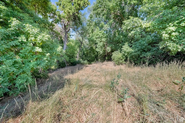 1632 S Main St, Springville, UT 84663 - photo 87