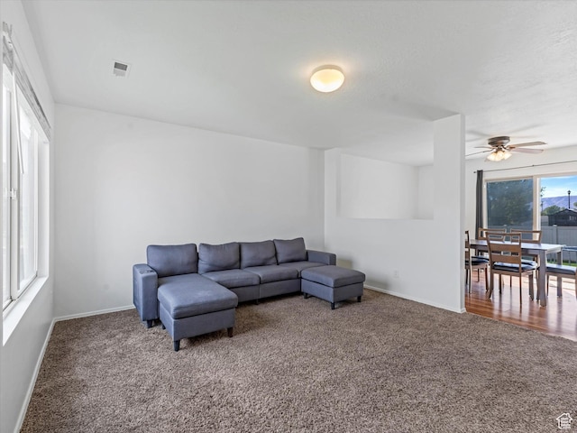 446 S 1340 W, Spanish Fork, UT 84660 - photo 6