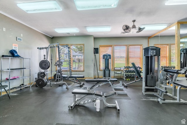 2312 S Chip Shot Loop, Saratoga Springs, UT 84045 - photo 46