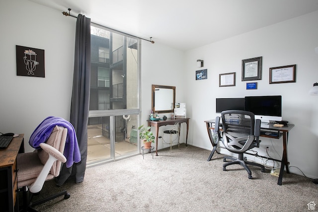438 N Center St W Unit 208, Salt Lake City, UT 84103 - photo 18