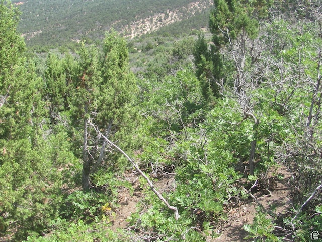 Unit 10, Spring City, UT 84662 - photo 32