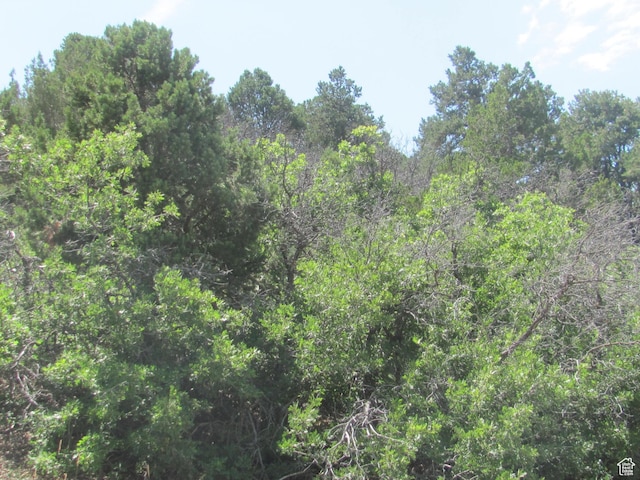 Unit 10, Spring City, UT 84662 - photo 16