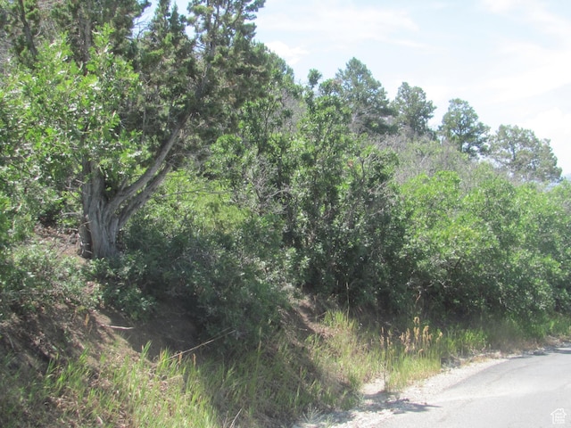 Unit 10, Spring City, UT 84662 - photo 17