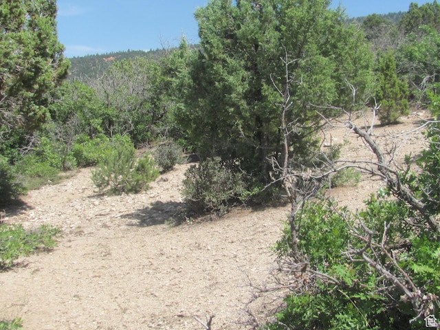 Unit 10, Spring City, UT 84662 - photo 26