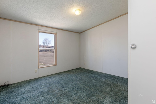 296 Maurice Ave, Fredonia, AZ 86022 - photo 24