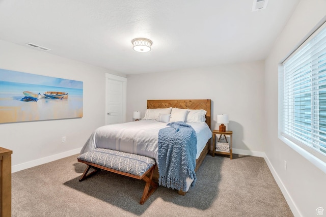 6378 W Verdant Hills Way S, Jordan, UT 84009 - photo 43