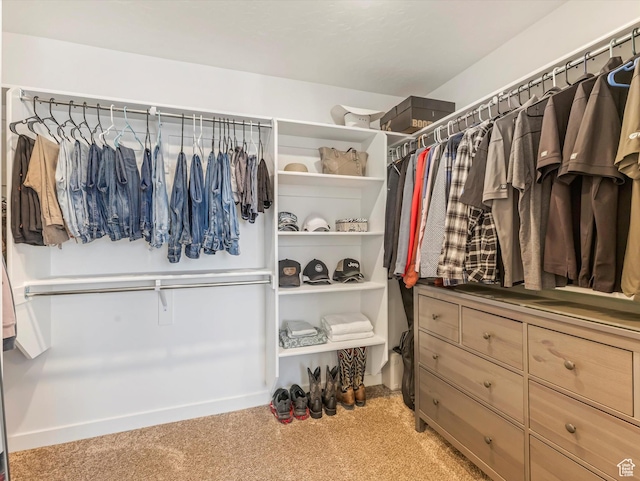 835 S Criddle Rd W, Syracuse, UT 84075 - photo 21