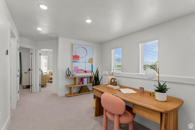 556 S 1225 W, Logan, UT 84321 - photo 10