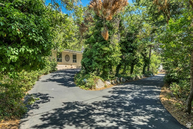 2342 E Combe Rd S, Uintah, UT 84403 - photo 3