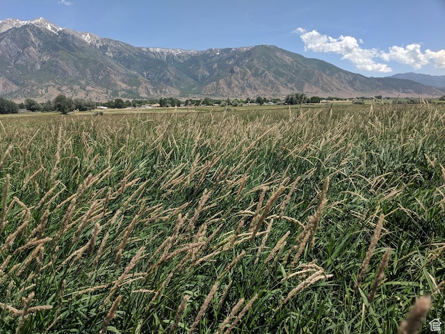 912 W Goshen Rd, Mona, UT 84645 - photo 18