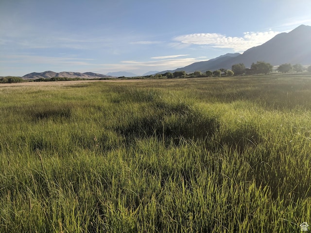 912 W Goshen Rd, Mona, UT 84645 - photo 30