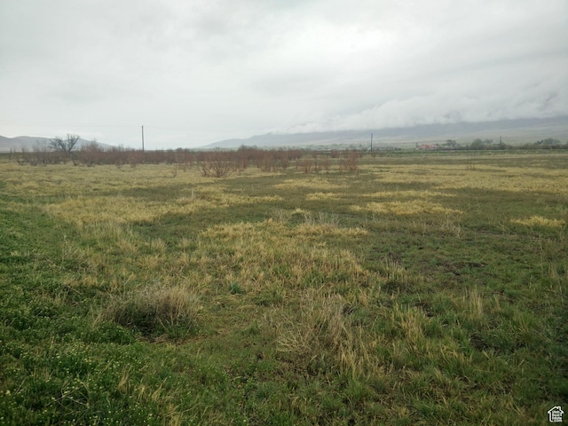 912 W Goshen Rd, Mona, UT 84645 - photo 5