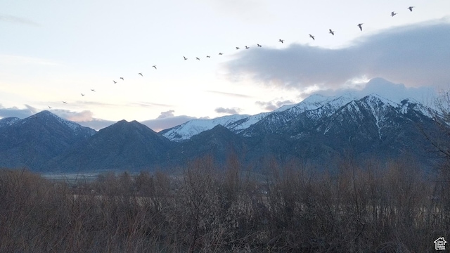 912 W Goshen Rd, Mona, UT 84645 - photo 28