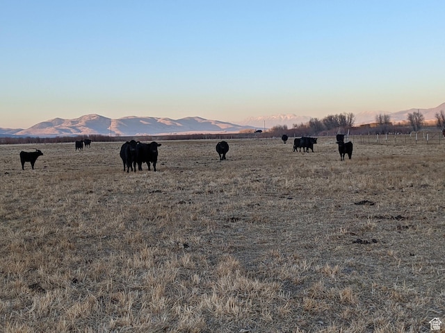 912 W Goshen Rd, Mona, UT 84645 - photo 42