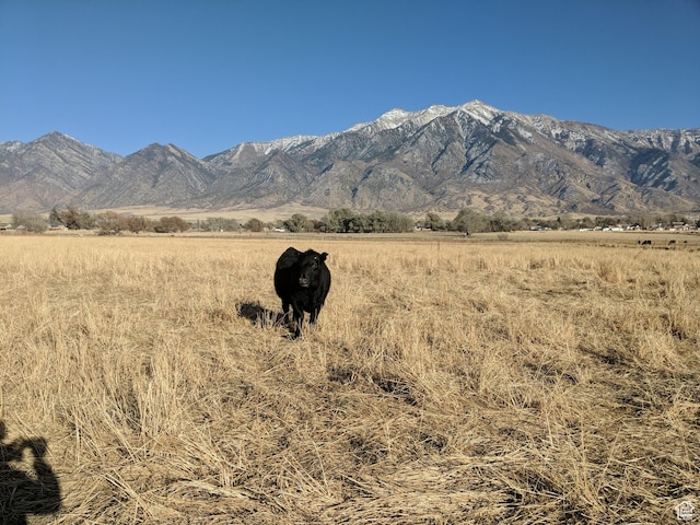 912 W Goshen Rd, Mona, UT 84645 - photo 22