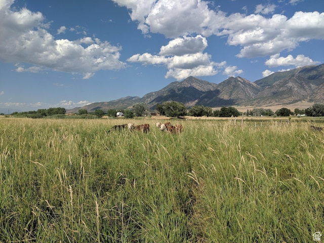 912 W Goshen Rd, Mona, UT 84645 - photo 19