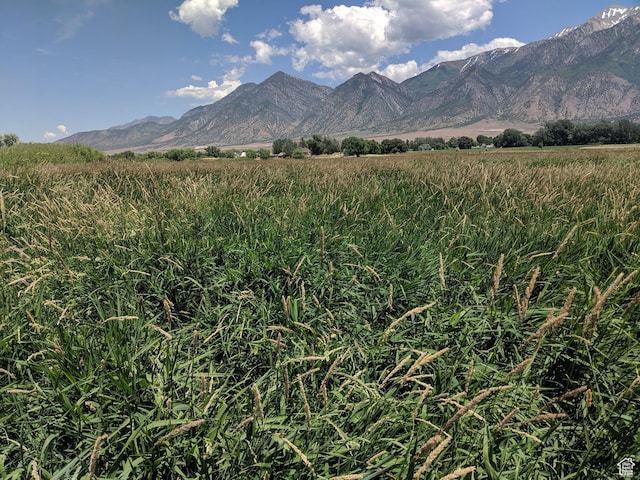 912 W Goshen Rd, Mona, UT 84645 - photo 17