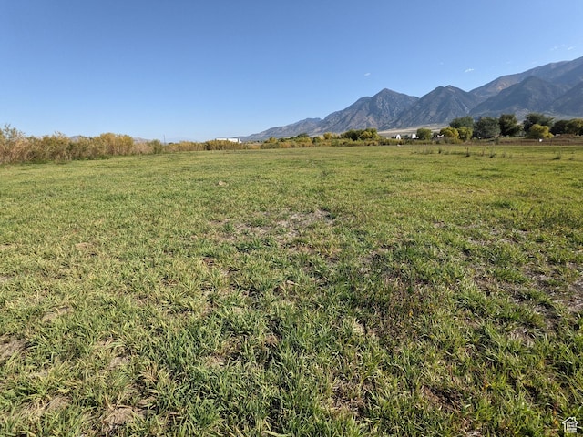912 W Goshen Rd, Mona, UT 84645 - photo 45